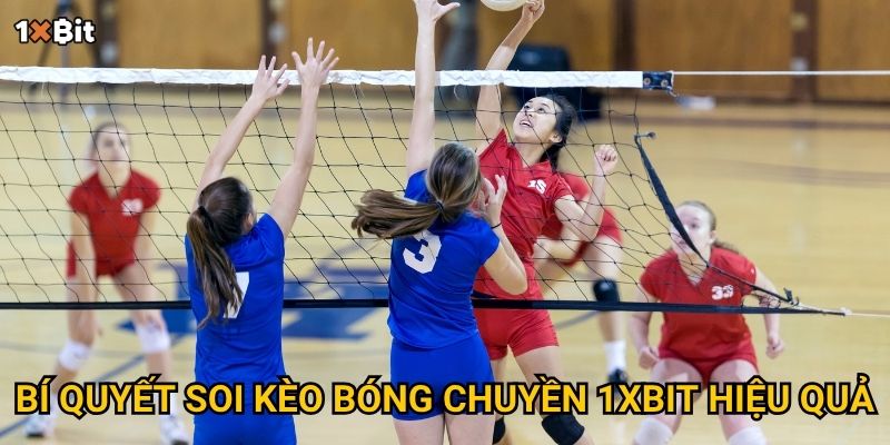 Bí quyết soi kèo bóng chuyền 1xbit hiệu quả