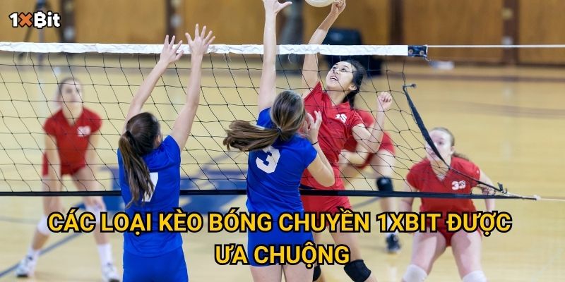 Các loại kèo bóng chuyền 1xbit được ưa chuộng