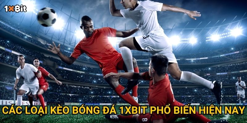 Các loại kèo bóng đá 1xbit phổ biến hiện nay
