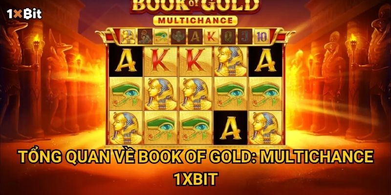 Tổng quan về Book of Gold: Multichance 1xbit